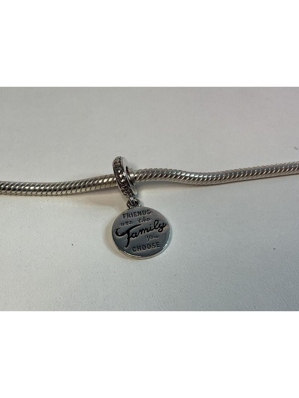 Pandora Friends Are The Family You Choose  Charm MINT
